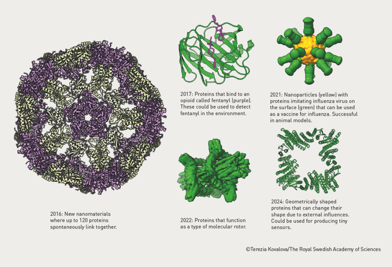 Nobel alle proteine origami - Figura 2