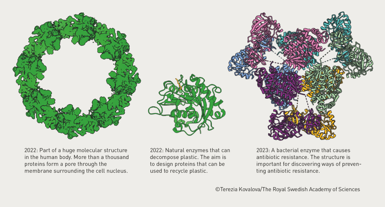 Nobel alle proteine origami - Figura 3