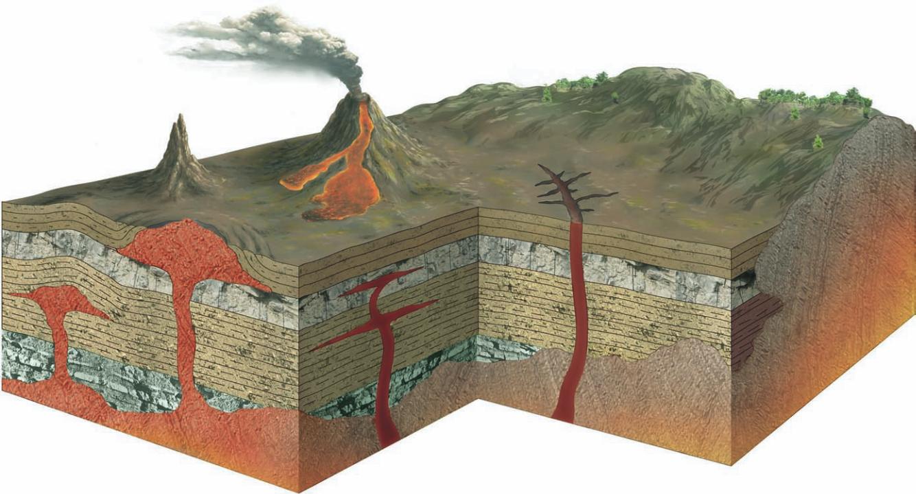 Page 6 - 120900031140_crippa_scienze_naturali